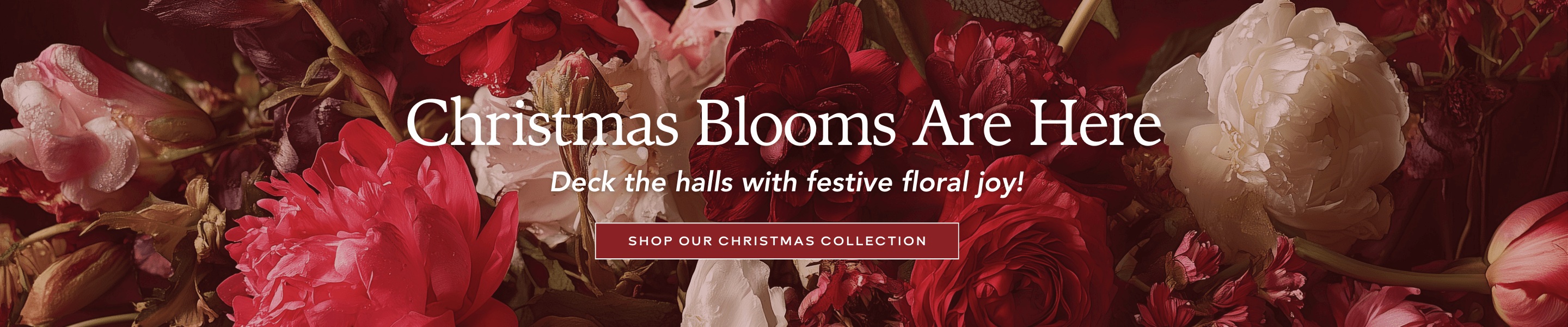Christmas blooms are here. Click here to shop Christmas Flowers.