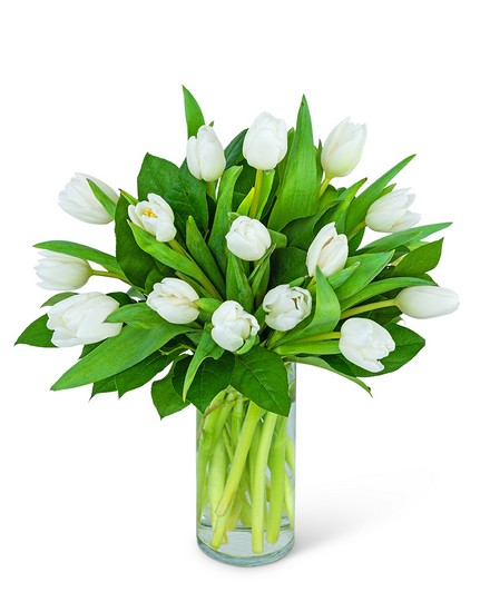 White Tulips from Sunrise Floral in O'Neill, Nebraska