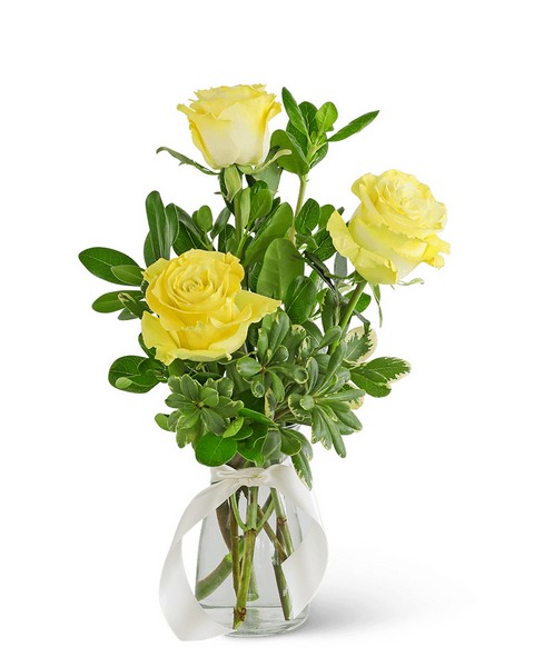 Three Yellow Roses from Sunrise Floral in O'Neill, Nebraska