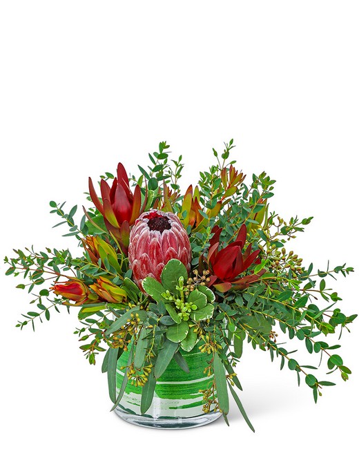 Protea Wilderness from Sunrise Floral in O'Neill, Nebraska