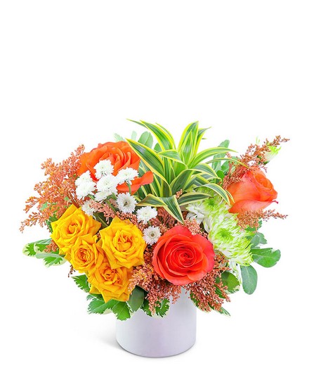 Easy Breezy from Sunrise Floral in O'Neill, Nebraska