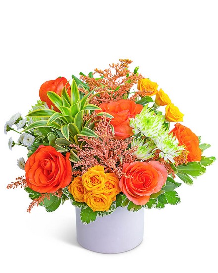 Cabana Breeze from Sunrise Floral in O'Neill, Nebraska