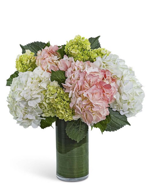 Hydrangea Glow from Sunrise Floral in O'Neill, Nebraska
