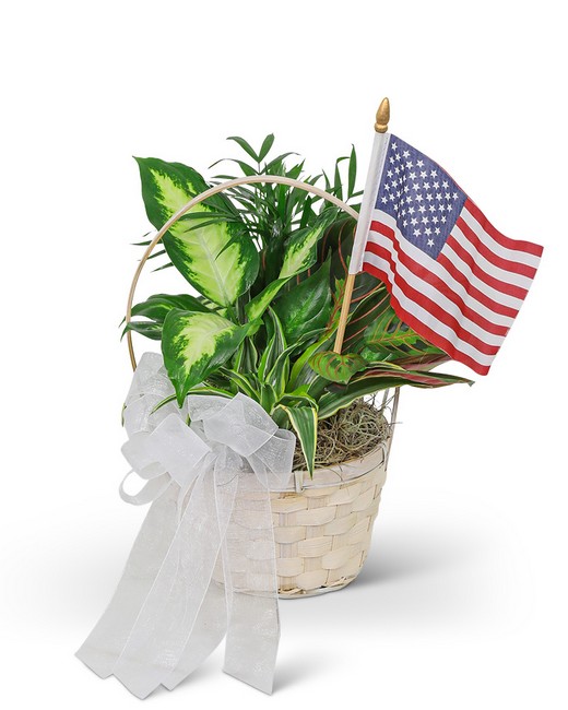 Patriotic Planter from Sunrise Floral in O'Neill, Nebraska