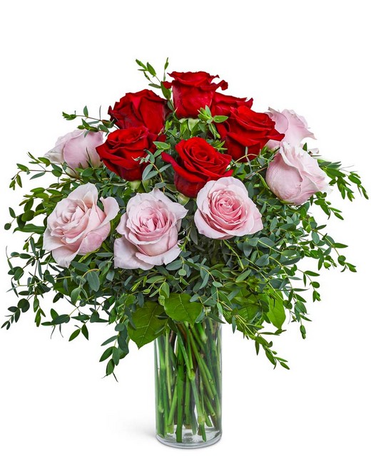 One Dozen Perfect Pink and Red Roses from Sunrise Floral in O'Neill, Nebraska