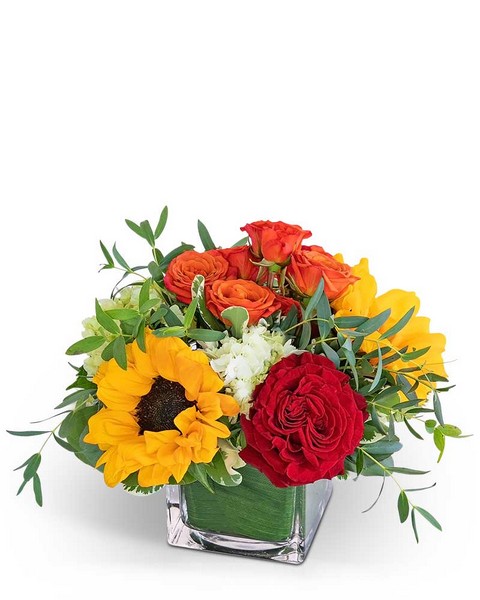 Sweet Savannah from Sunrise Floral in O'Neill, Nebraska