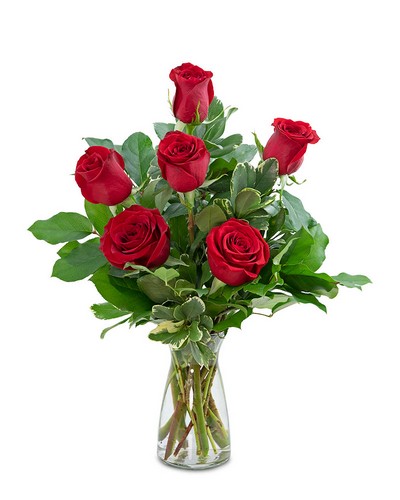 Red Roses (6) from Sunrise Floral in O'Neill, Nebraska