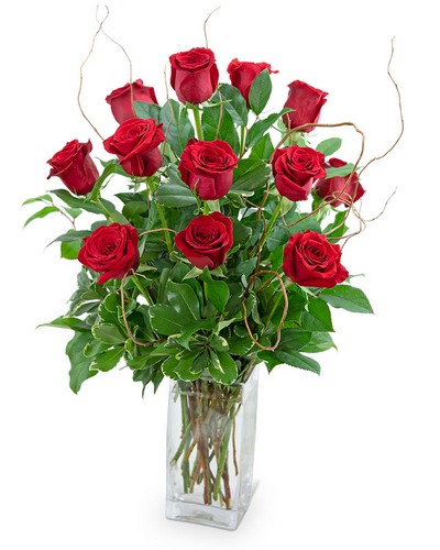 Dozen Red Roses with Willow from Sunrise Floral in O'Neill, Nebraska