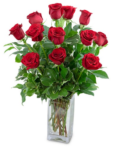 Classic Dozen Red Roses from Sunrise Floral in O'Neill, Nebraska