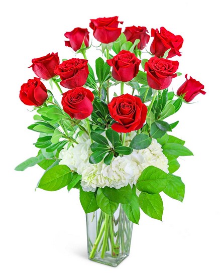 One Dozen Red Roses with Hydrangea from Sunrise Floral in O'Neill, Nebraska