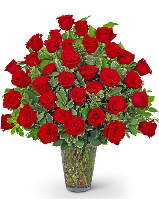 Three Dozen Elegant Red Roses from Sunrise Floral in O'Neill, Nebraska