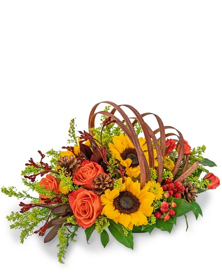 Creative Cornucopia from Sunrise Floral in O'Neill, Nebraska