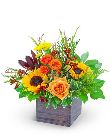 Rustic Tuscany from Sunrise Floral in O'Neill, Nebraska