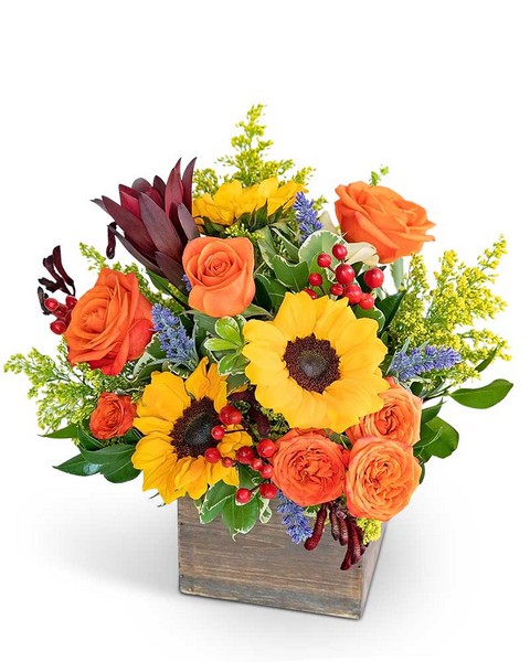 Rosewood Canyon  from Sunrise Floral in O'Neill, Nebraska