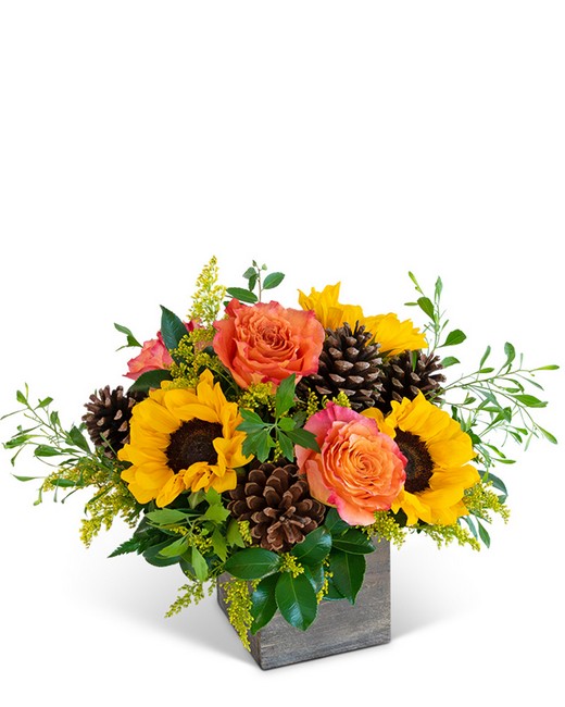Harvest Sunburst Harmony from Sunrise Floral in O'Neill, Nebraska