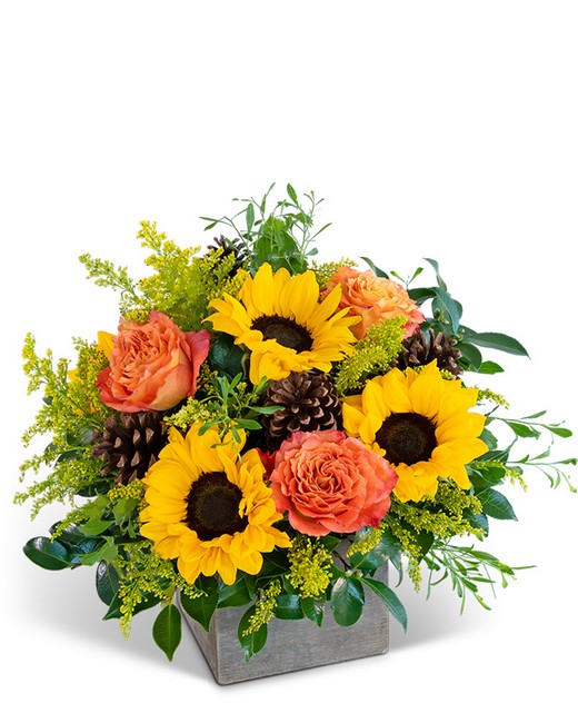 Woodland Sunshine from Sunrise Floral in O'Neill, Nebraska