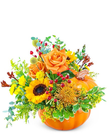 Pumpkin in Radiance from Sunrise Floral in O'Neill, Nebraska