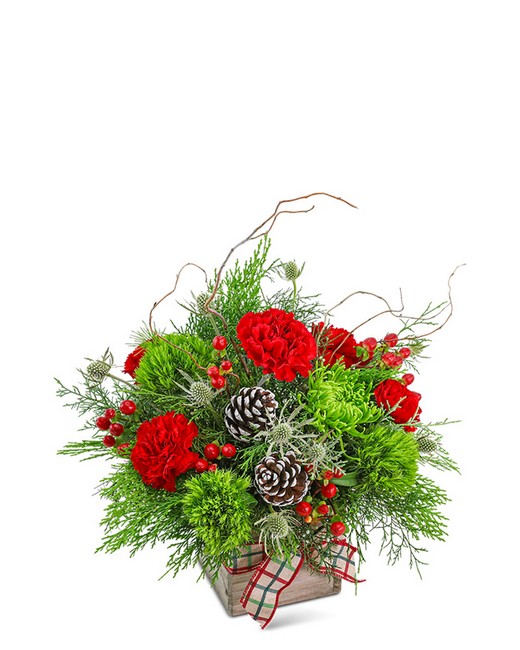 Festive Tidings from Sunrise Floral in O'Neill, Nebraska