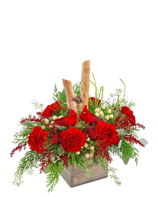 Woodland Cardinal Cheer from Sunrise Floral in O'Neill, Nebraska