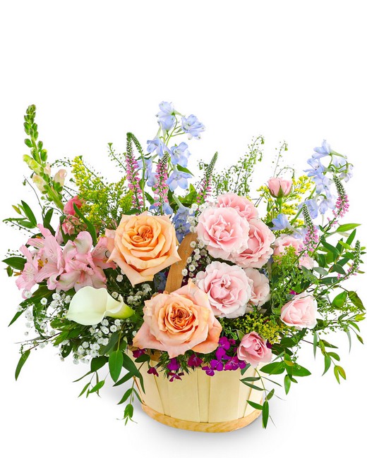 Botanical Bloom Basket from Sunrise Floral in O'Neill, Nebraska